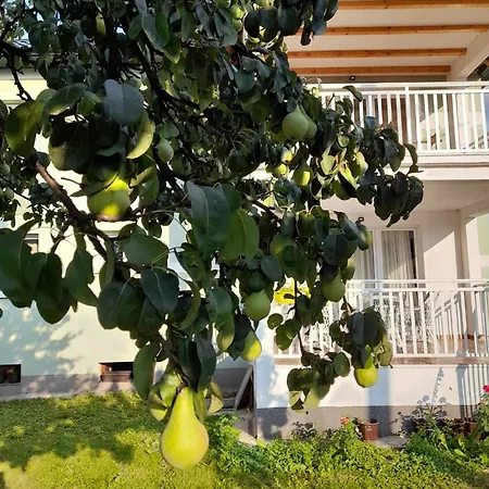 Villa Aronia